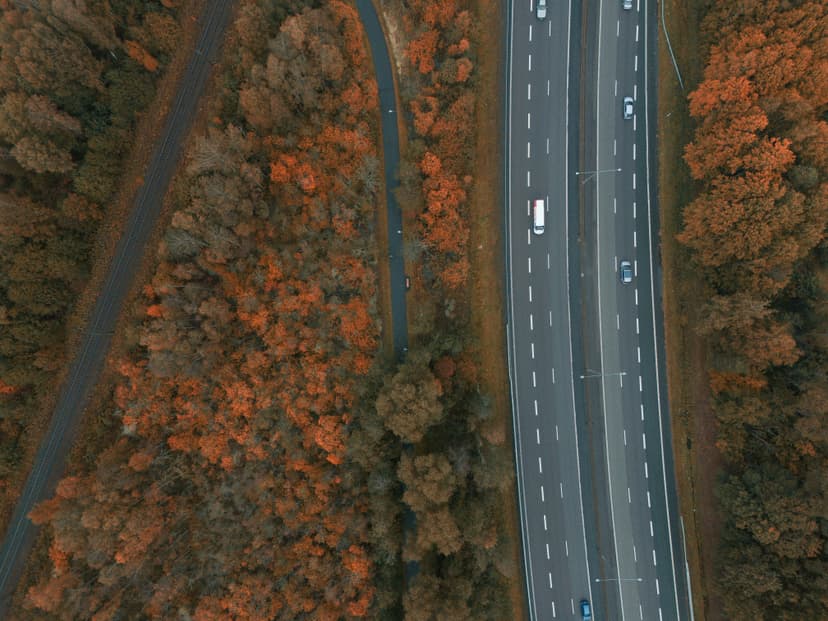 Creștere de 4% a vânzărilor de mașini noi în România în 2025